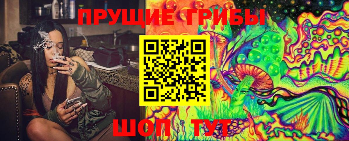 Галлюциногенные грибы GOLDEN TEACHER  наркотики  Вход с VPN  Шуя  Псилоцибиновые грибы GOLDEN TEACHER 