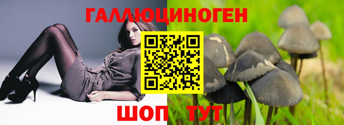 Псилоцибиновые грибы Psilocybe Шуя